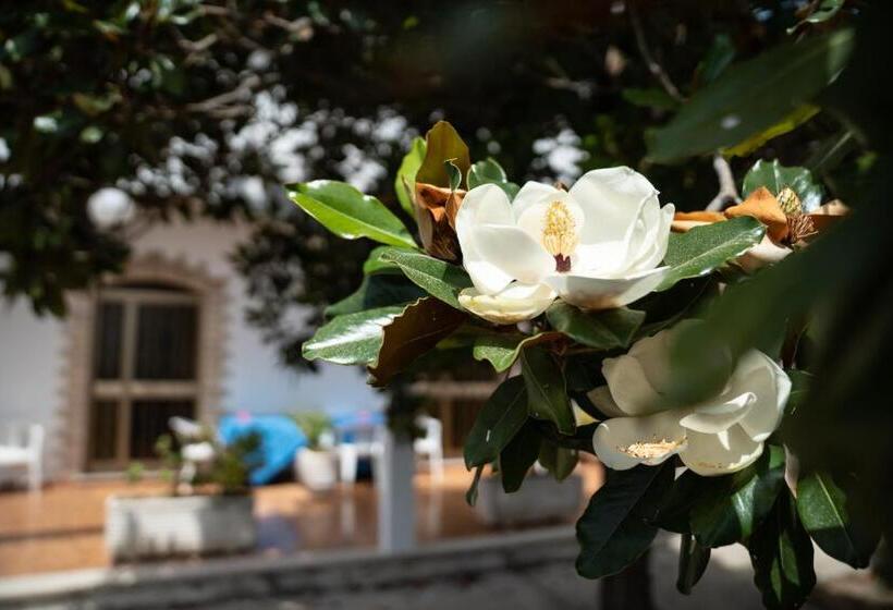 园景标准四人间, Vittoria