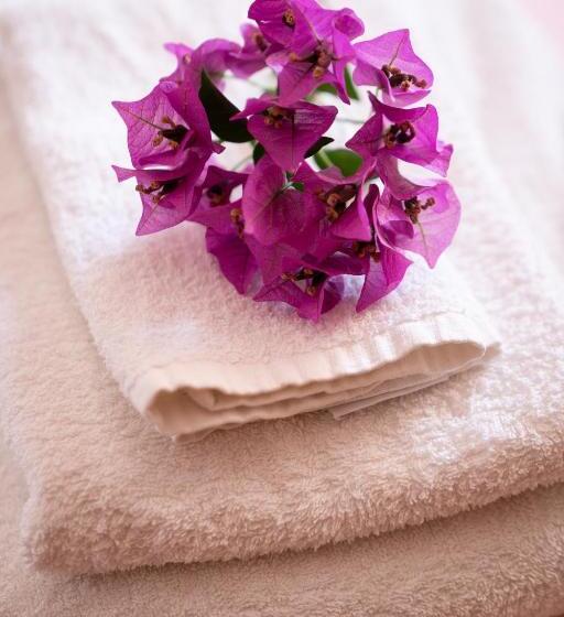 园景标准四人间, Vittoria