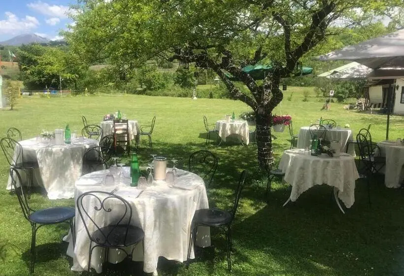 آپارتمان 1 خوابه, Stella Polare B&b
