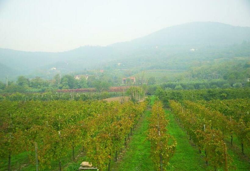 غرفة قياسية, Alloggio Franciscus