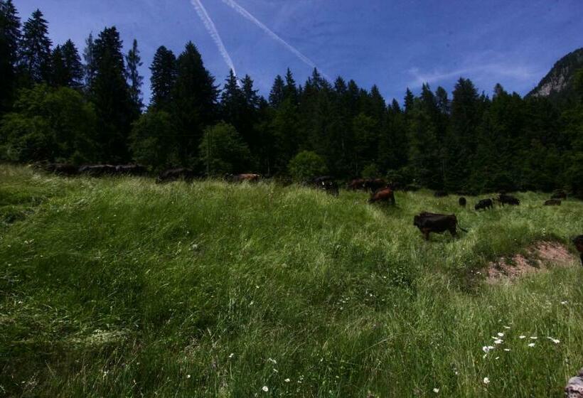 スタンダードルーム, Pra De La Casa