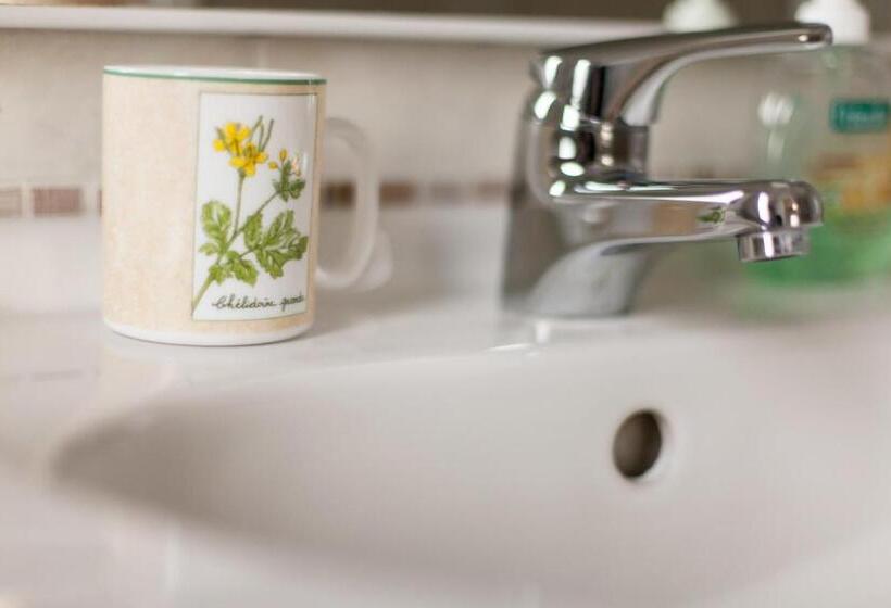 スタンダードルーム, Romagnabnb Il Passatore