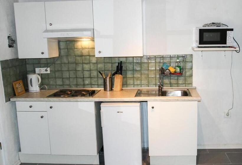 آپارتمان 1 خوابه با تراس, Apartments Hemingway House