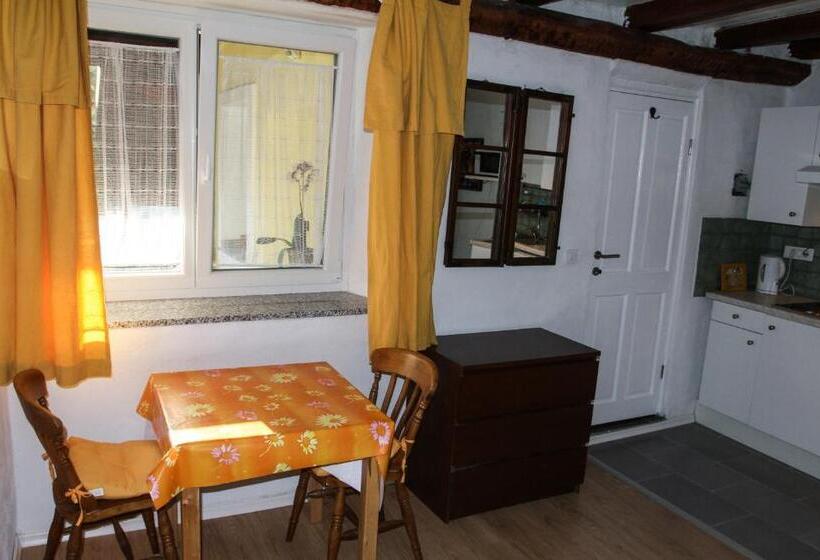 آپارتمان 1 خوابه با تراس, Apartments Hemingway House