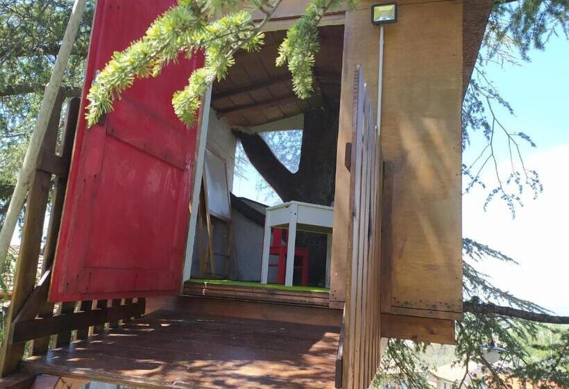 דירת חדר עם טרסה, Bed And Breakfast Il Cappero