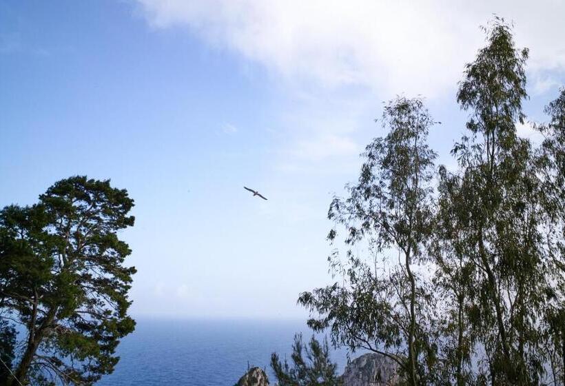 キングサイズベッドのスイートルーム, Villacore Capri