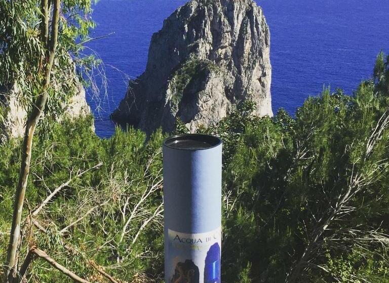 Вилла 1 Спальня Вид на Море, Villacore Capri