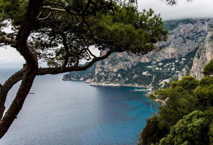 オーシャンビューの１ベッドルームビラ, Villacore Capri