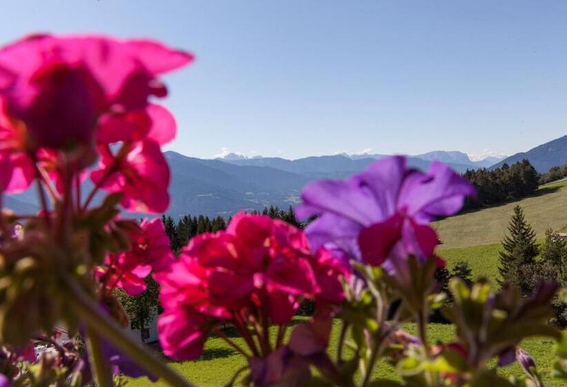 Люкс с Балконом, Bacherhof