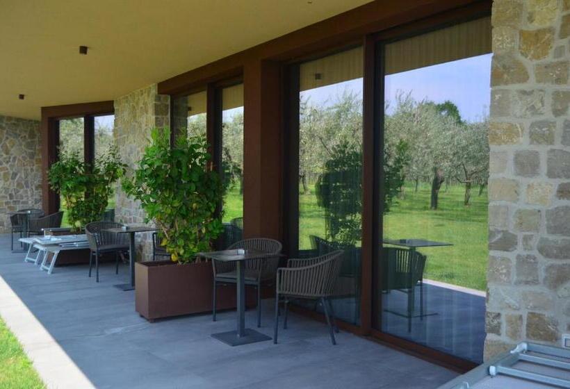 标准工作室带泳池景, La Cipressina B&b