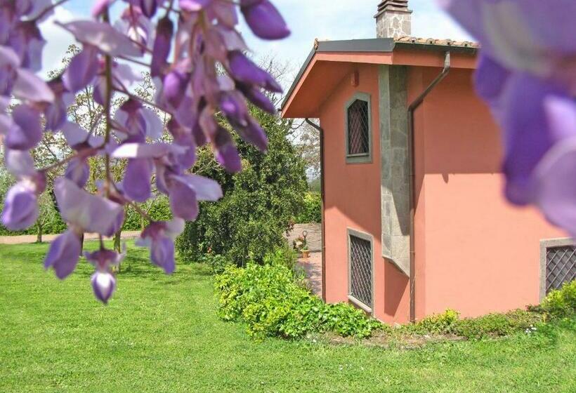 חדר סטנדרט, B&b Ai Glicini   Castelli Romani