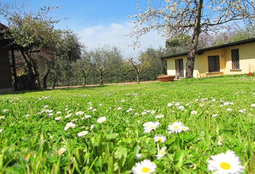 Номер Стандарт, B&b Ai Glicini   Castelli Romani
