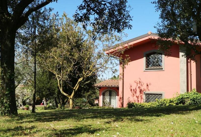 חדר סטנדרט, B&b Ai Glicini   Castelli Romani