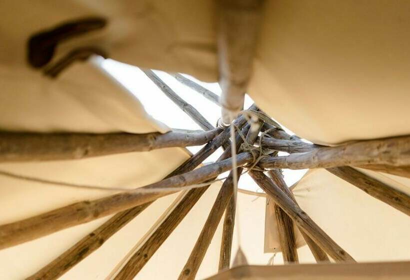 스탠다드 룸, Hébergements Insolites Domaine Arvor Spa