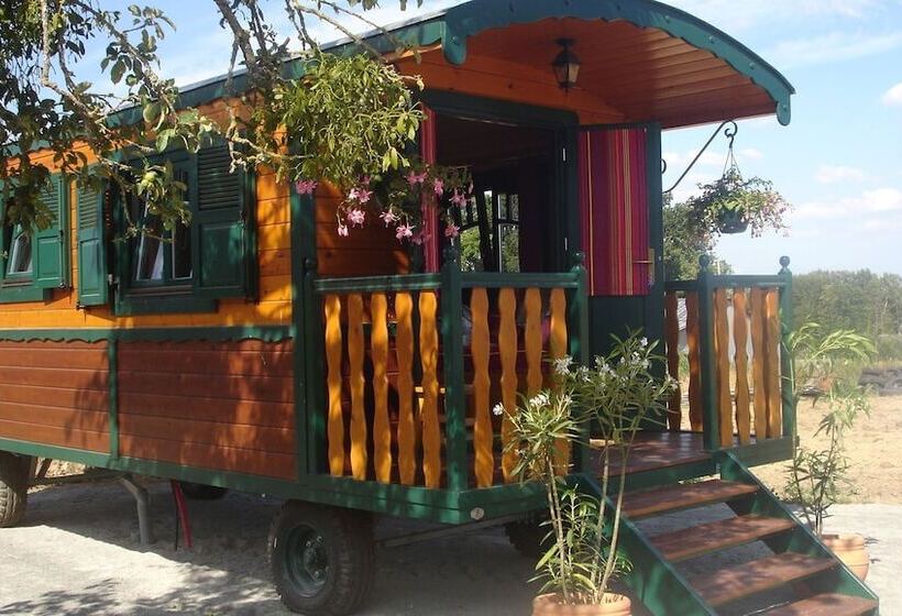 스탠다드 룸, Hébergements Insolites Domaine Arvor Spa