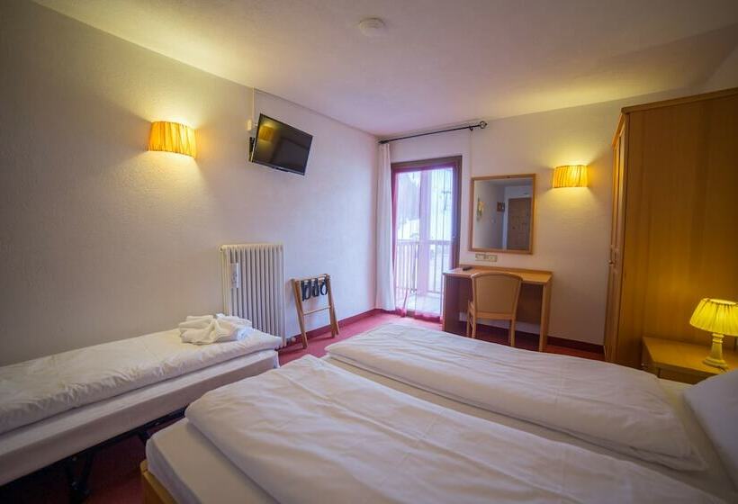 スタンダードトリプルルーム, Grizzly