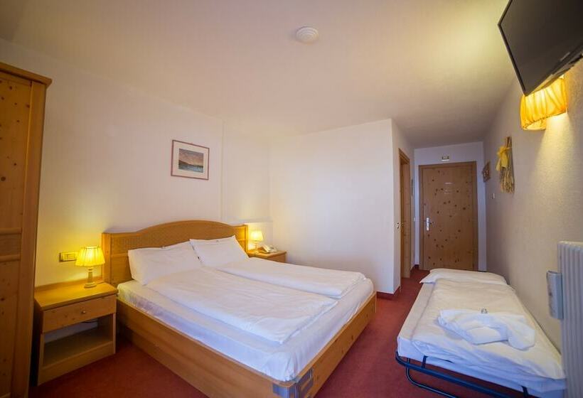 スタンダードトリプルルーム, Grizzly