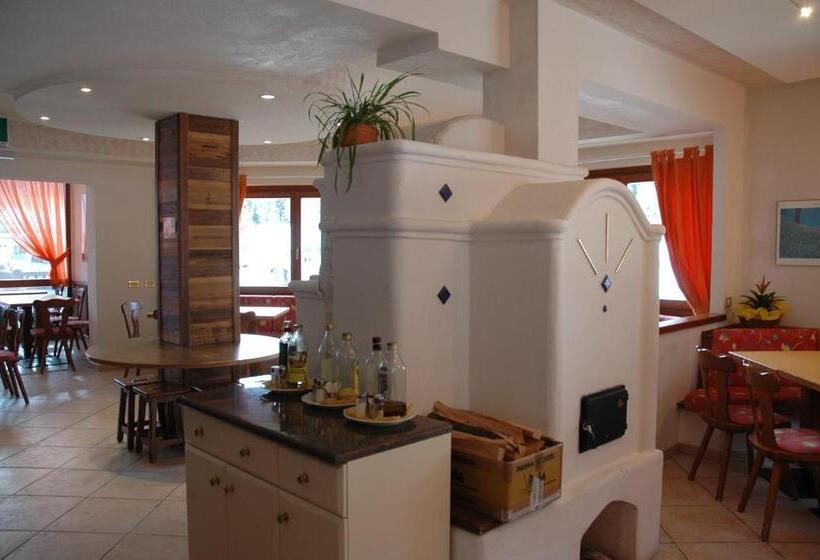 マウンテンビュースタンダードルーム, Grizzly