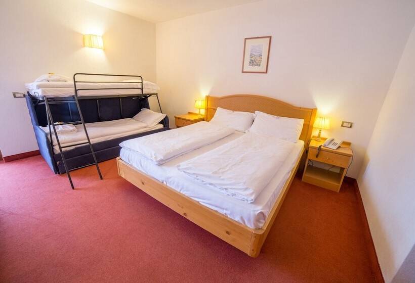 スタンダード４人部屋, Grizzly