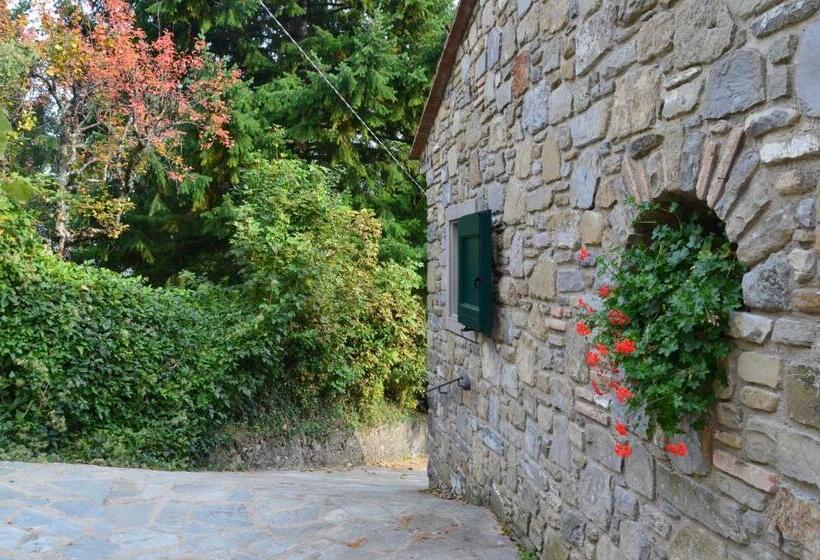 סוויטה, Il Fondaccio