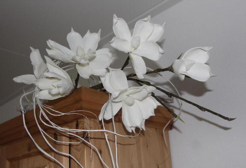 חדר סטנדרט, B&b Molenaar