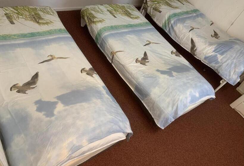 חדר סטנדרט לשלושה, B&b Molenaar