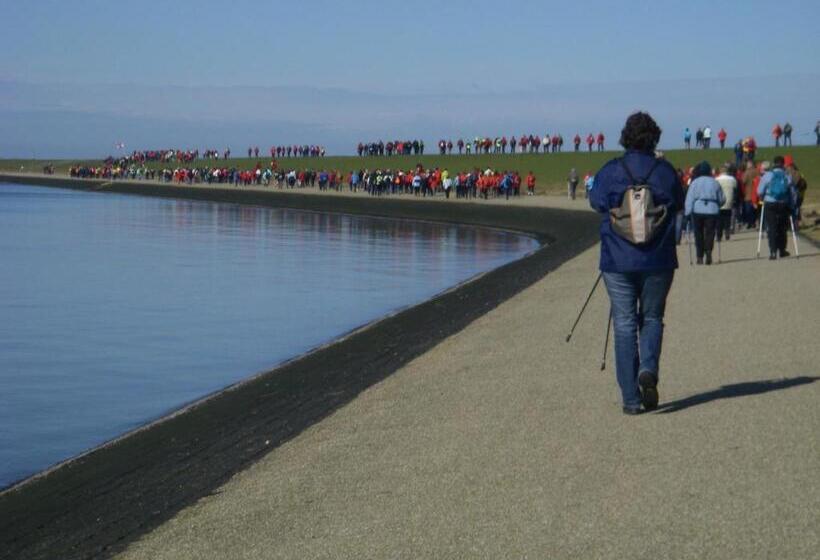 חדר סטנדרט לשלושה, B&b Molenaar