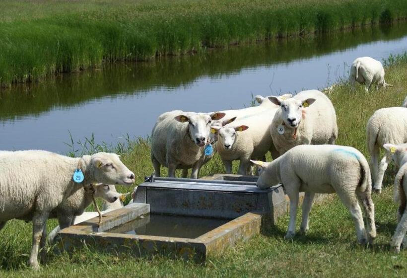 חדר סטנדרט לשלושה, B&b Molenaar