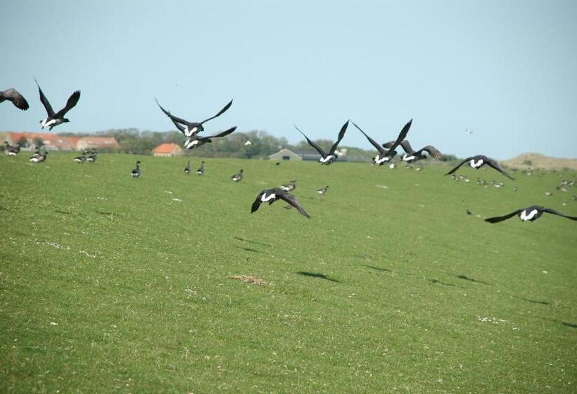 חדר סטנדרט לשלושה, B&b Molenaar