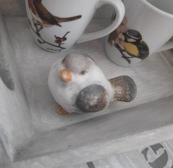 חדר סטנדרט חדר אמבטיה משותף, B&b Molenaar