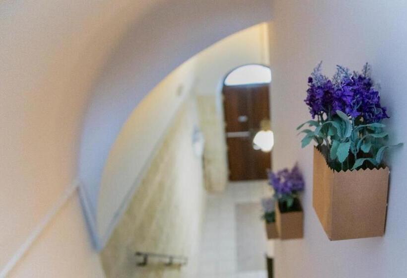 スタンダードトリプルルーム, Cittadella28