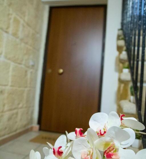 デラックスの４人部屋, Cittadella28