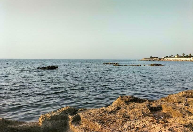 شقة غرفتين, Colomba Bianca