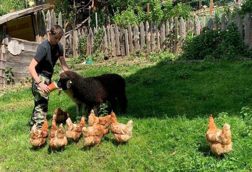 חדר סטנדרט, Haus Lasaun