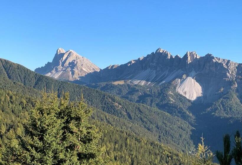 דירת חדר, Haus Lasaun