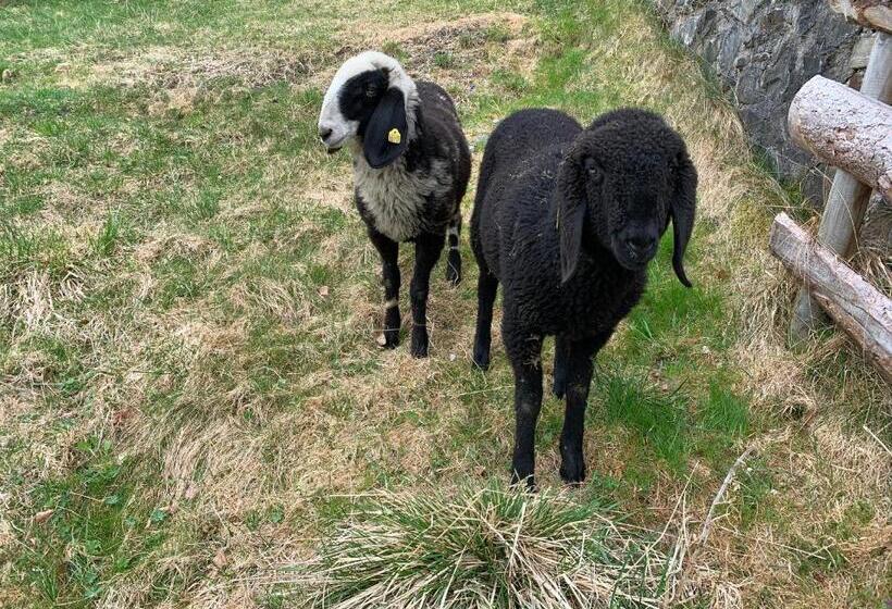 דירת חדר, Haus Lasaun