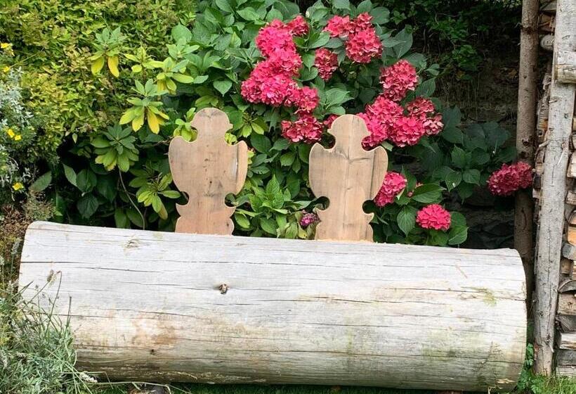 חדר סטנדרט עם מרפסת, Haus Lasaun