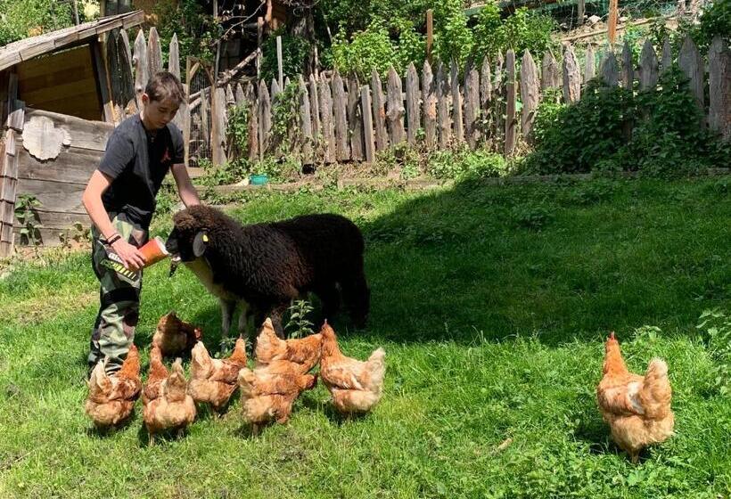 חדר סטנדרט עם מרפסת, Haus Lasaun