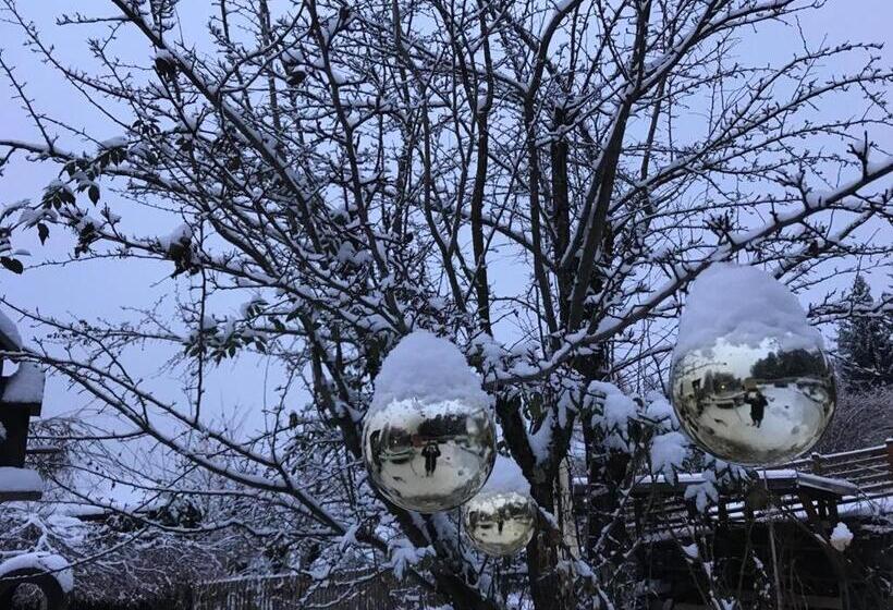 חדר סטנדרט עם מרפסת, Haus Lasaun