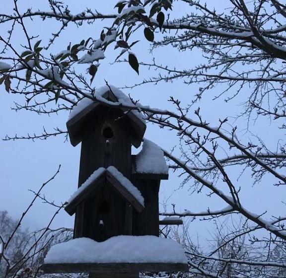 חדר סטנדרט עם מרפסת, Haus Lasaun