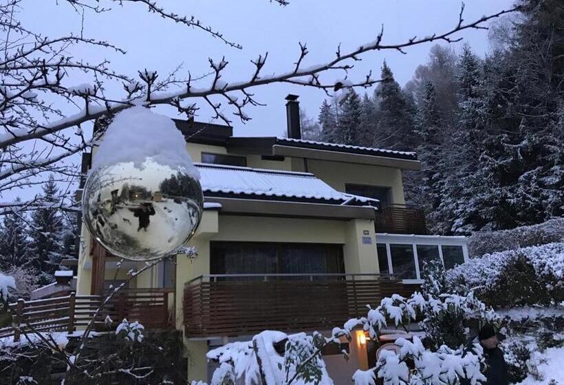 דירת חדר, Haus Lasaun