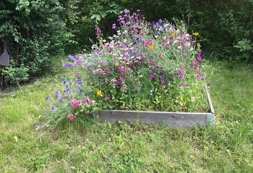 חדר סטנדרט עם מרפסת, Haus Lasaun