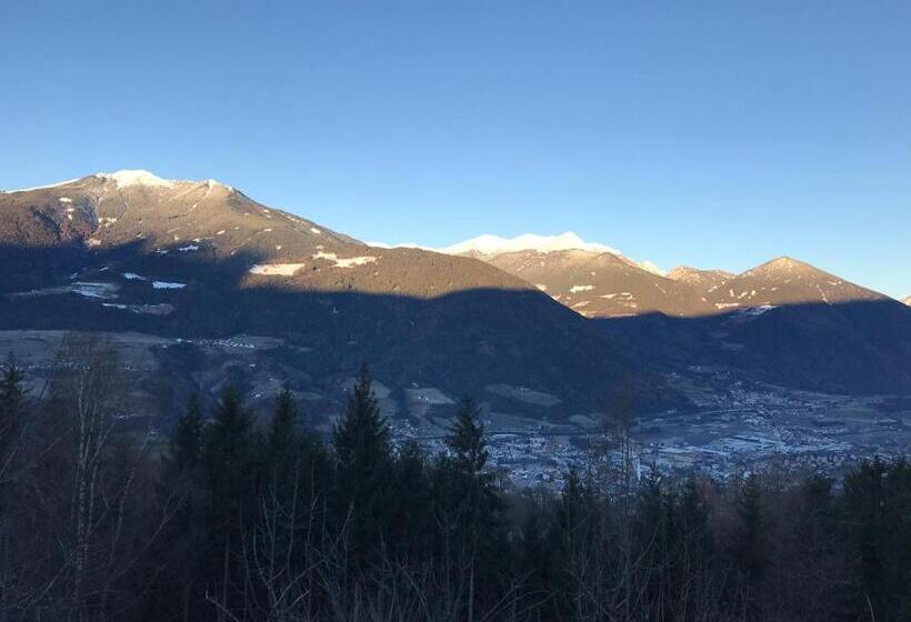 חדר סטנדרט עם מרפסת, Haus Lasaun