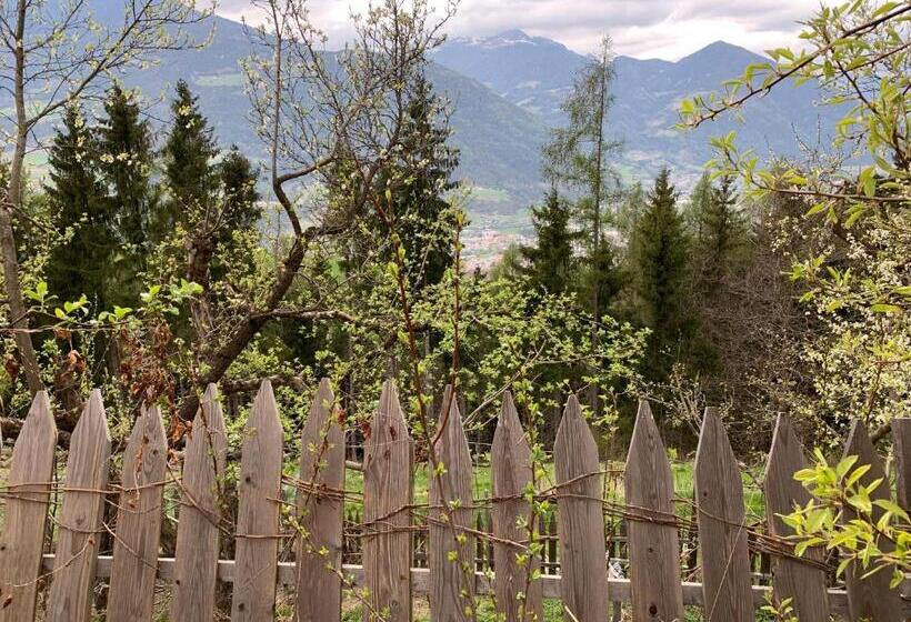 דירת חדר, Haus Lasaun