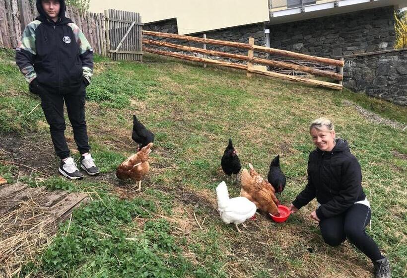 חדר סטנדרט עם מרפסת, Haus Lasaun