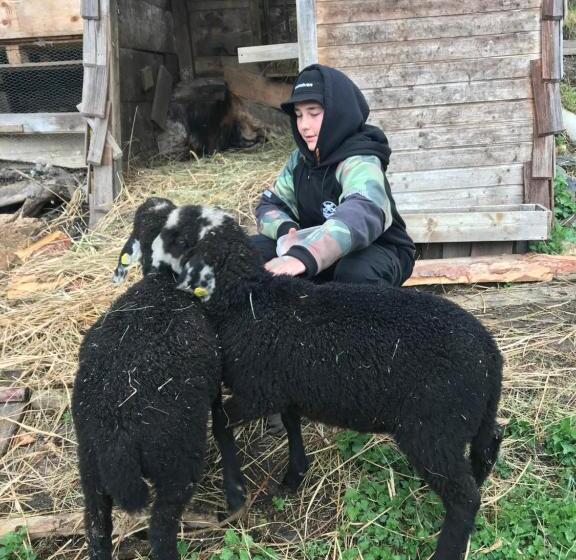 חדר סטנדרט עם מרפסת, Haus Lasaun