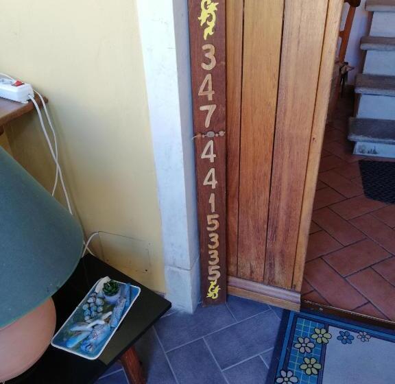 Quarto Triplo Estandar, Le Travi