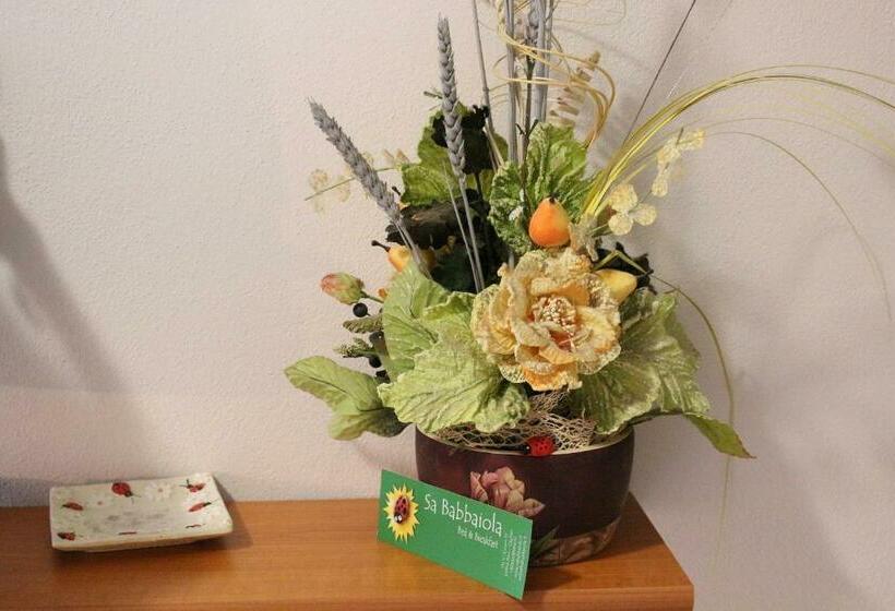 스탠다드 룸, Sa Babbaiola