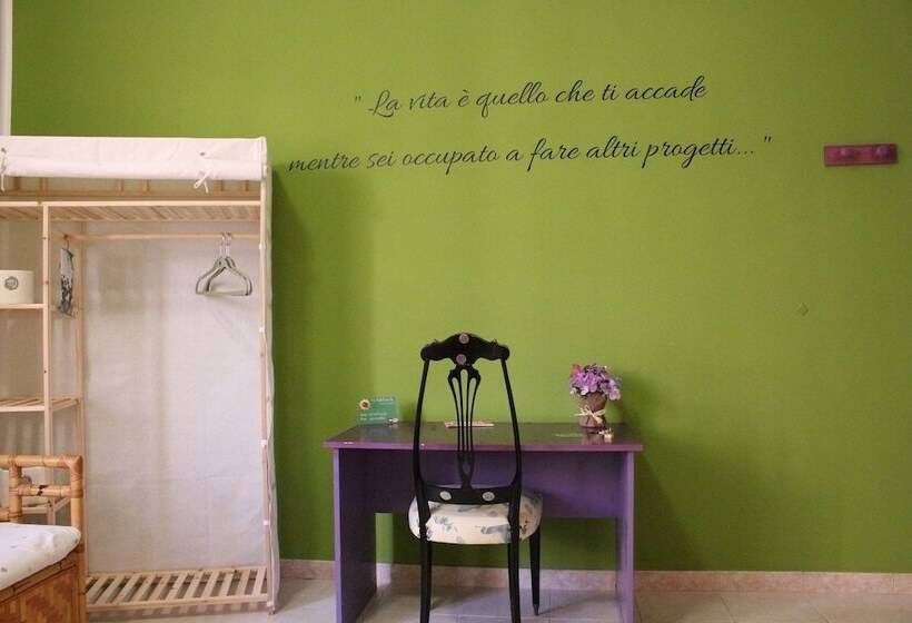 스탠다드 룸, Sa Babbaiola