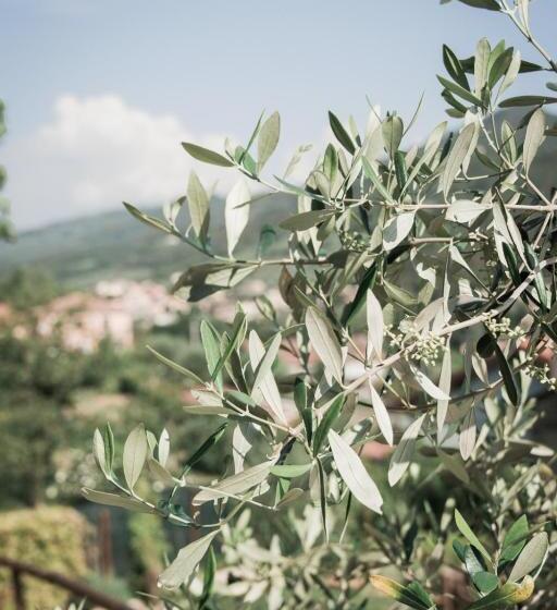 فيلا غرفة نوم واحدة, Borgata Cantone Country House B&b